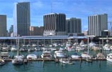 One-day Miami Tour